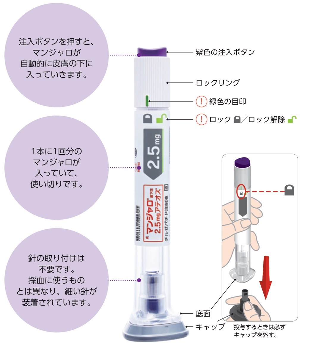 マンジャロ アテオス注入器の各部名称(紫色の注入ボタン・ロックリング・緑色の目印・底面・キャップ)