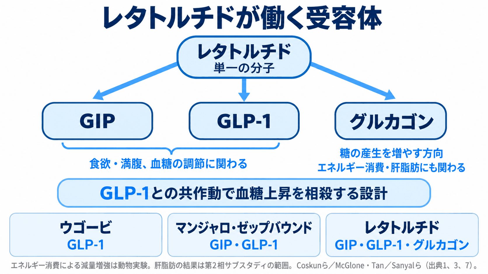 レタトルチドがGIP・GLP-1・グルカゴンの受容体に働く模式図。TRIUMPH-1(80週)で評価された薬の仕組みと既存薬の作用点を示し、エネルギー消費は動物実験、肝脂肪は第2相の範囲。出典1、3、5、7。