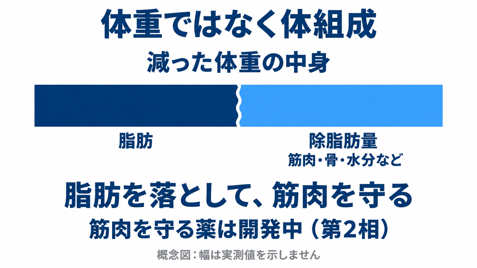 減った体重には脂肪と除脂肪量が含まれることを帯グラフで示し、除脂肪量には筋肉・骨・水分などが含まれると説明する概念図。出典35、36、37、38。
