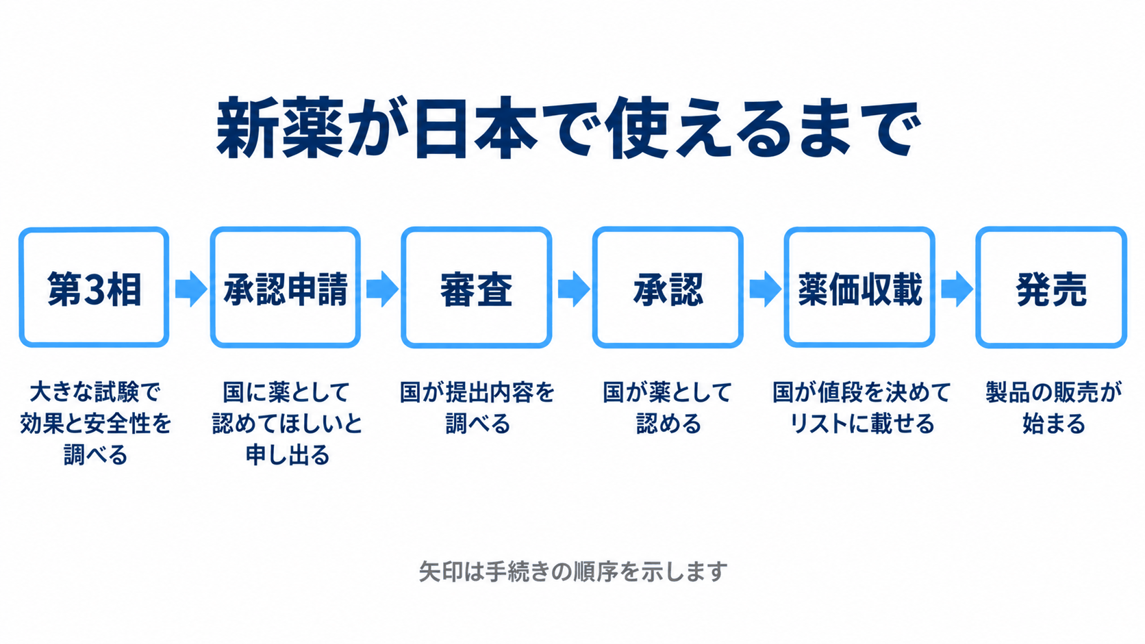 第3相、承認申請、審査、承認、薬価収載、発売を等間隔で並べ、日本で新薬が使えるまでの手続きを説明する段階図。出典26、28、44。